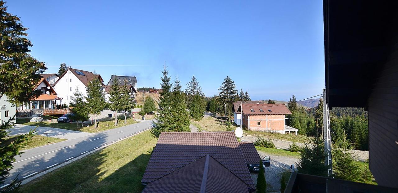 Pensiune & Restaurant Victoria Păltiniş 외부 사진