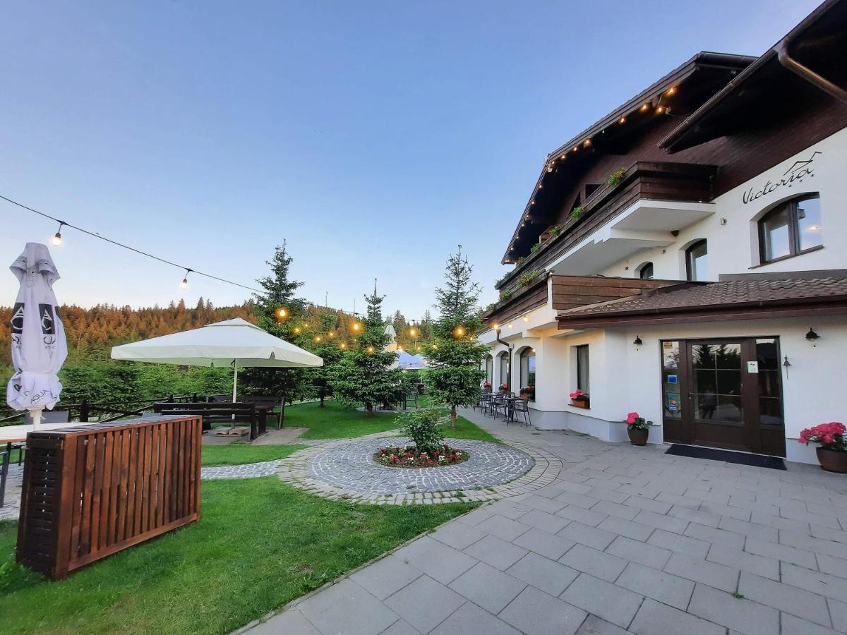 Pensiune & Restaurant Victoria Păltiniş 외부 사진