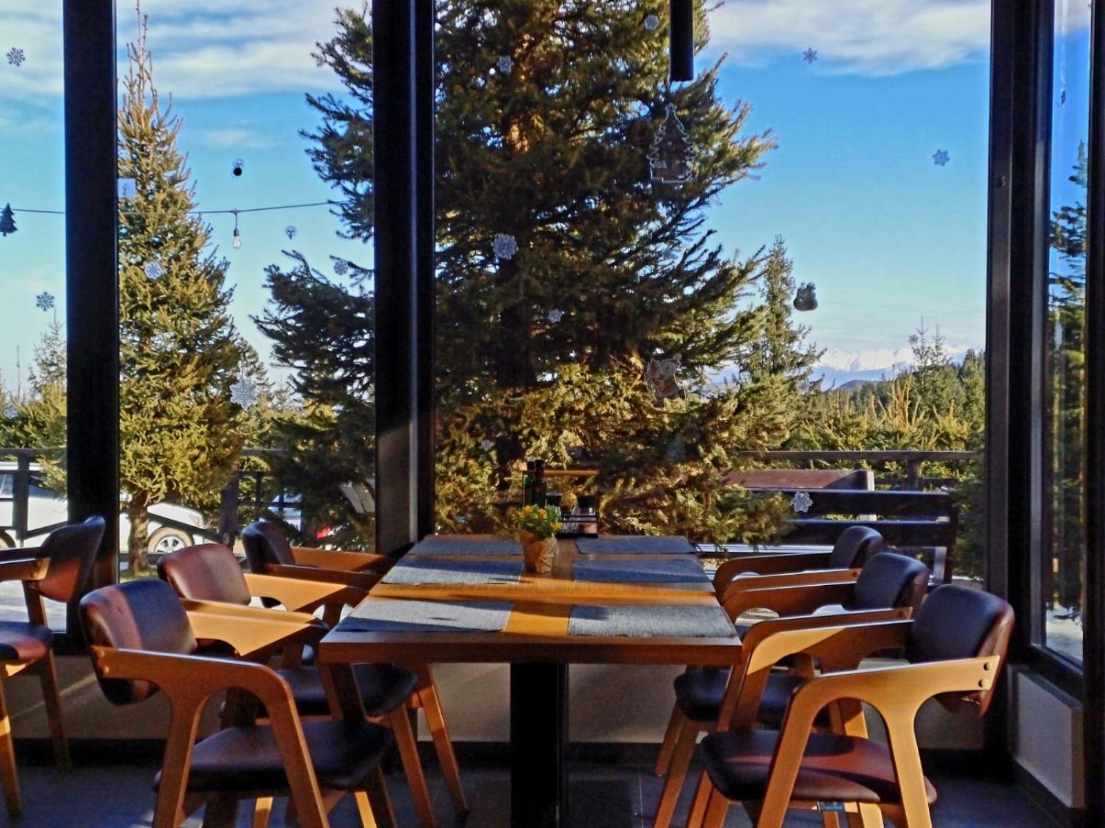 Pensiune & Restaurant Victoria Păltiniş 외부 사진